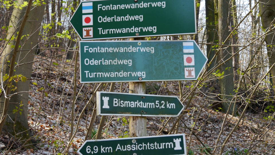 Wegweiser Wanderwege im Waldkomplex Bad Freienwalde (Foto: Verena Kramer)