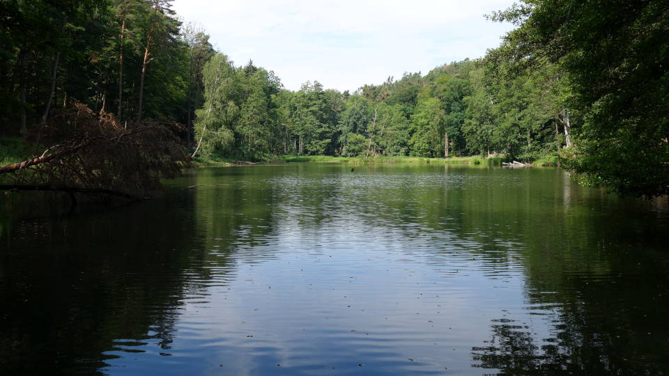 Der Teufelssee im Stadtwald Bad Freienwalde (Foto: Verena Kramer)